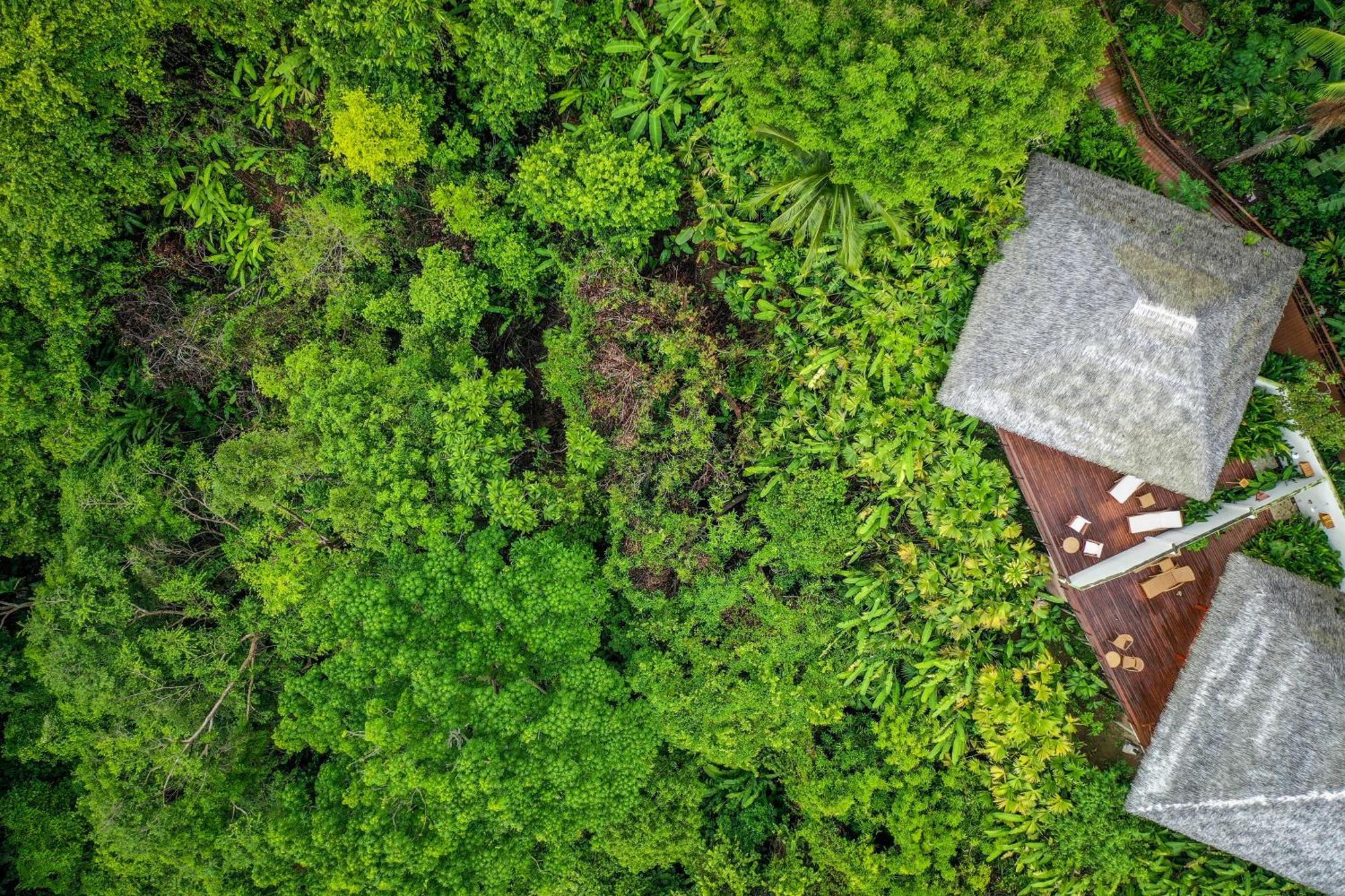 Lapa Rios Lodge By Boeena Puerto Jiménez 外观 照片