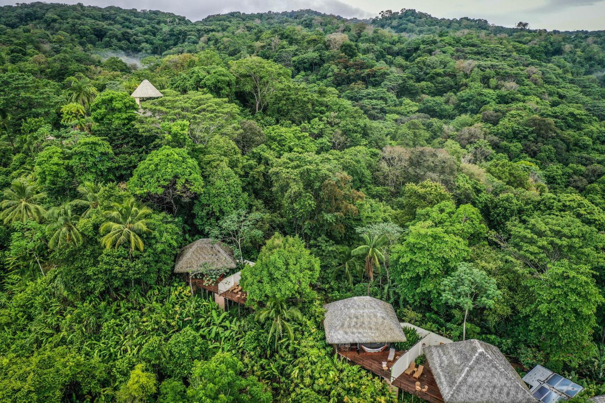 Lapa Rios Lodge By Boeena Puerto Jiménez 外观 照片