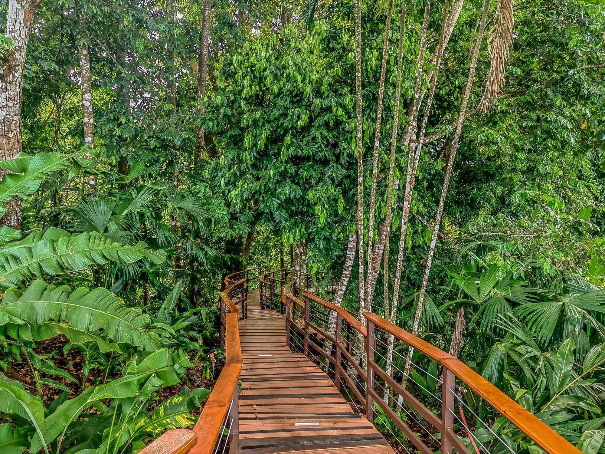 Lapa Rios Lodge By Boeena Puerto Jiménez 外观 照片
